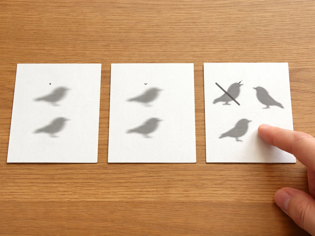 Three blank comparison cards on a wooden table showing blurred diacritic and mix-up mistakes with bird silhouettes.