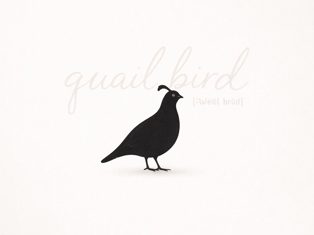 How to Pronounce Quail Bird: Spelling and IPA Guide
