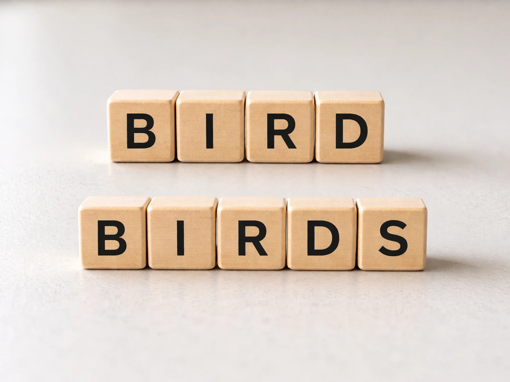Close-up of letter blocks spelling B-I-R-D and B-I-R-D-S on a clean tabletop.