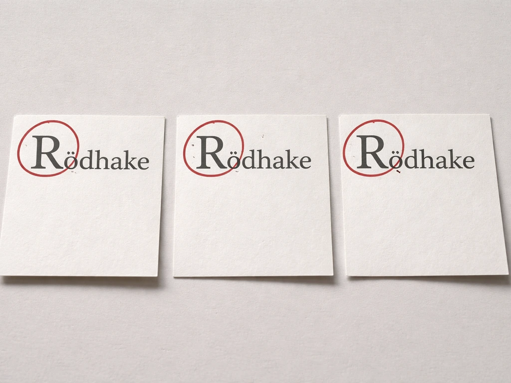 Three side-by-side bird-name cards with accented spellings and red circles around first letters.