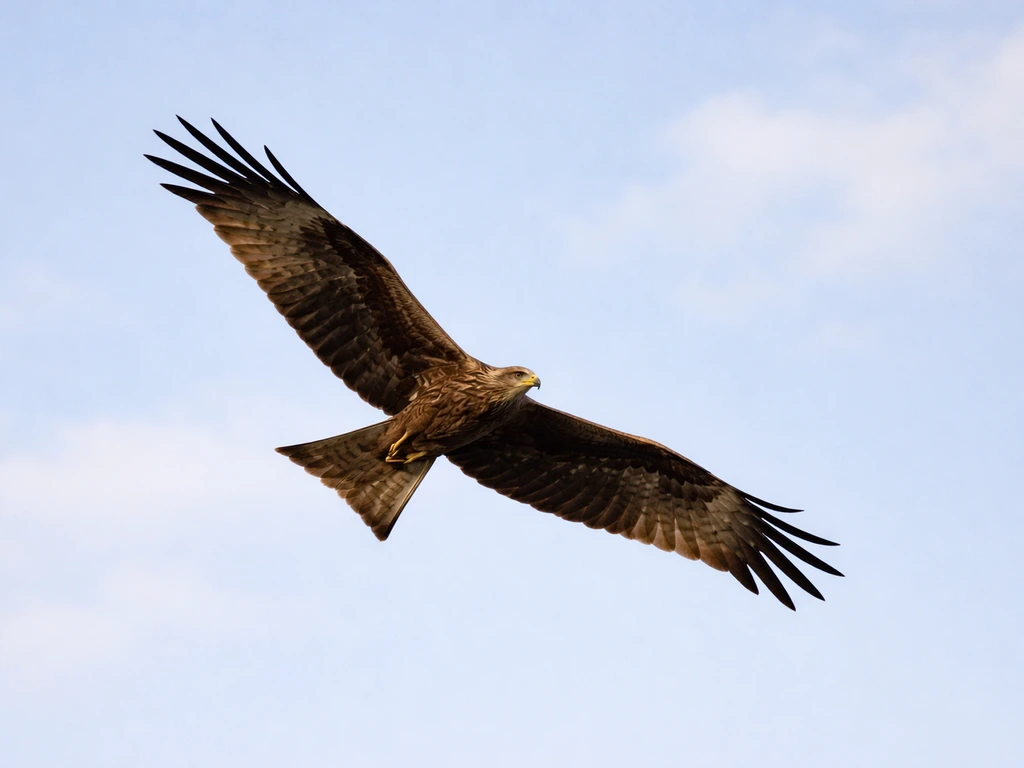 What Is Samdi Bird Called in English? Name and ID Guide